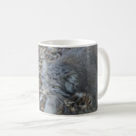 Caneca De Café Fotografia de Zoo - Pallas Cat (Manul)