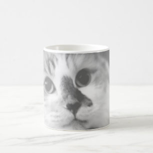 Caneca De Café Fotografia do Retrato de Gato SUPER CUTE