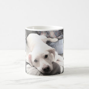 Caneca De Café Fotos de um Cachorro Super Bonito Refrigerado