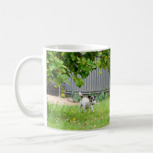 Caneca De Café Fox Terrier, Rosto Engraçado, Café Branco