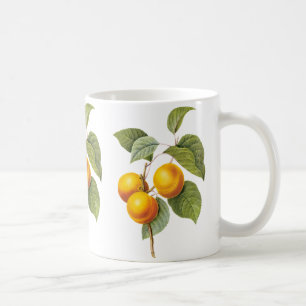 Caneca De Café Fruta de Comida de safra, Pêssego de damasco por m