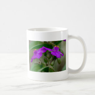 Caneca De Café Fuchsia Spiderwort Gêmeos de flor selvagem present