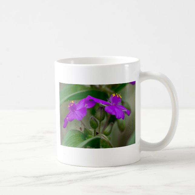 Caneca De Café Fuchsia Spiderwort Gêmeos de flor selvagem present (Direita)