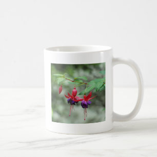 Caneca De Café Fuschia1A.jpg