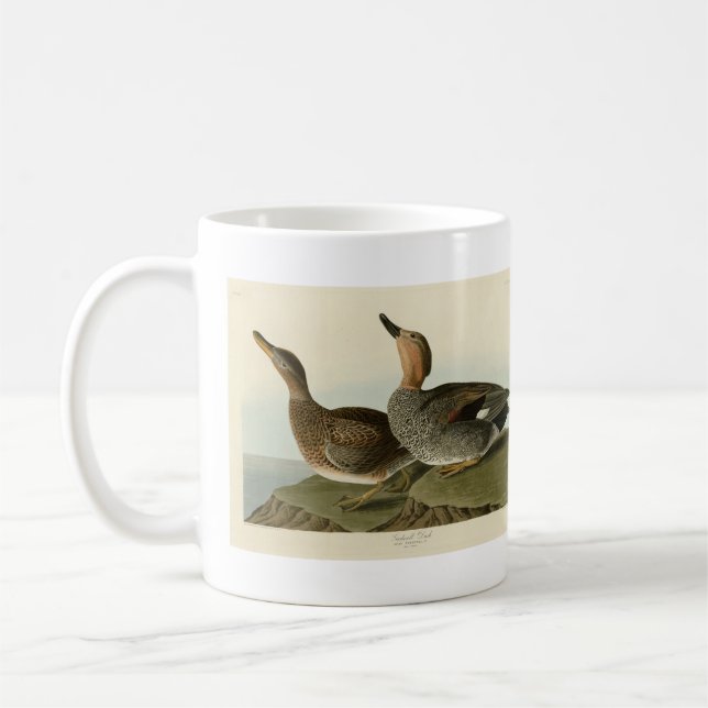 Caneca De Café Gadwall Duck - John Audubon's Birds of America (Esquerda)