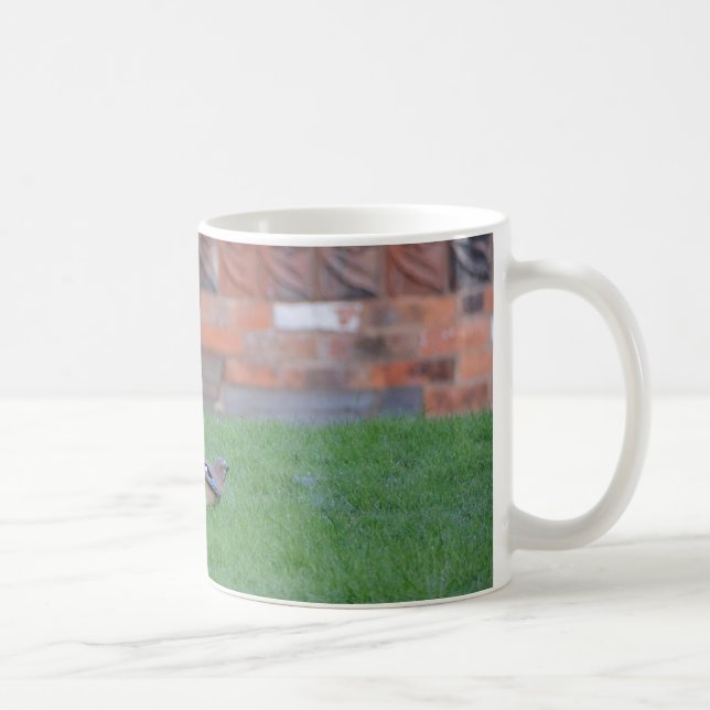 Caneca De Café Gaio-comum (Direita)