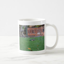 Caneca De Café Gaio-comum