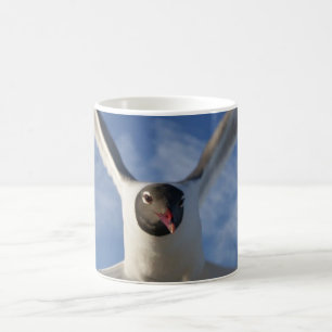 Caneca De Café Gaivota