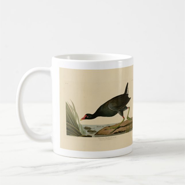 Caneca De Café Galáculo Comum das Aves da América de Audubon (Esquerda)