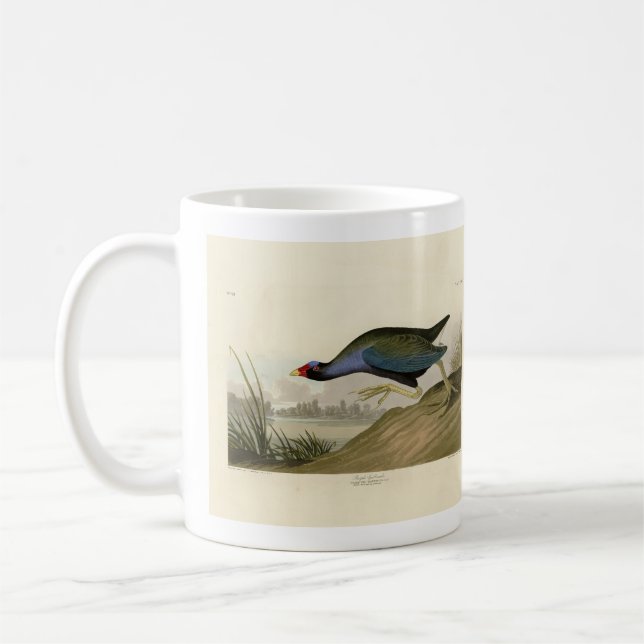 Caneca De Café Galáculo Roxo das Aves da América de Audubon (Esquerda)
