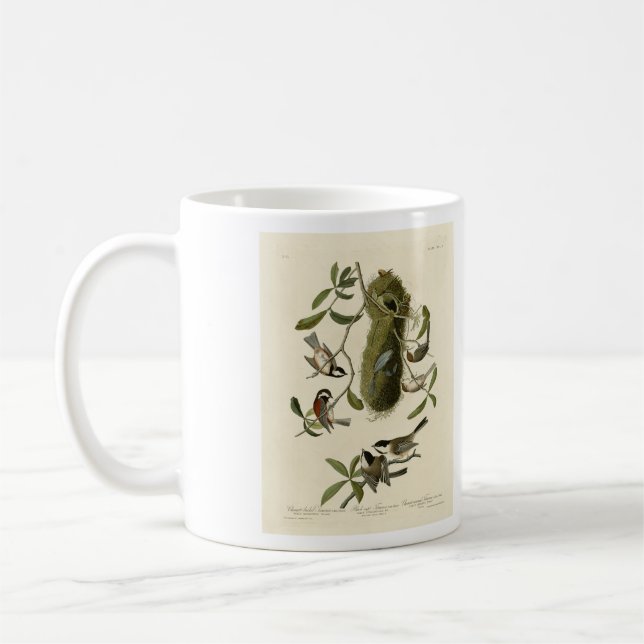 Caneca De Café Galinhas e Bushtit, Aves da América de Audubon (Esquerda)