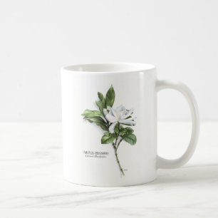 Caneca De Café Gardenia Jasminoides (Gardenia comum)
