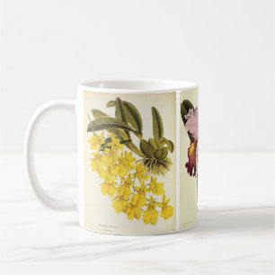 Caneca De Café Garrafa Floral Vintage, Flores Tropicais De Orquíd