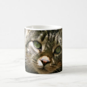 Caneca De Café Gatinho