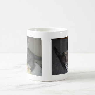 Caneca De Café Gatinho