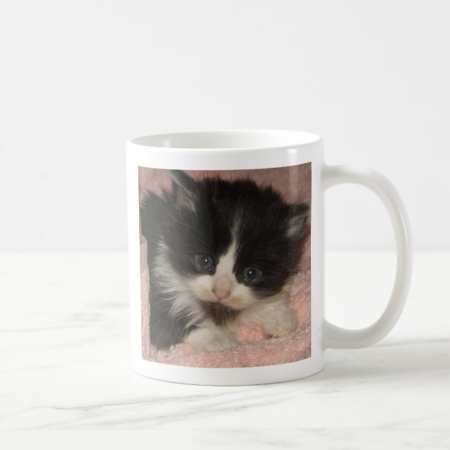 Caneca De Café Gatinho do racum de Maine (Direita)