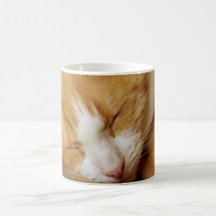 Caneca De Café Gatinho Dormindo