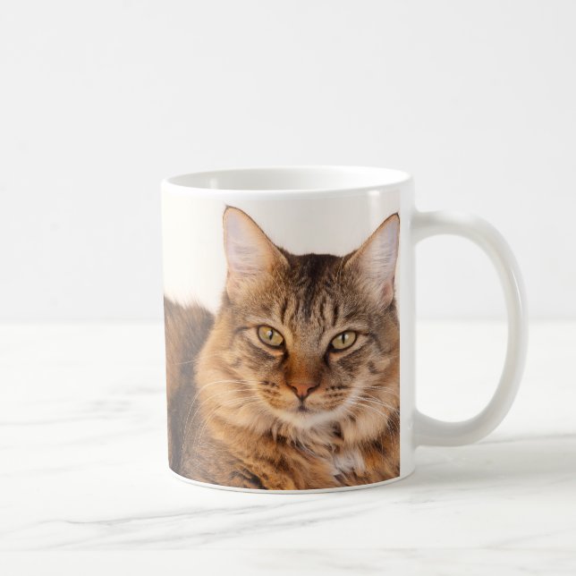 Caneca De Café Gatinho Maine Coon (Direita)