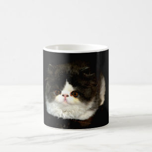 Caneca De Café Gatinho preto e branco