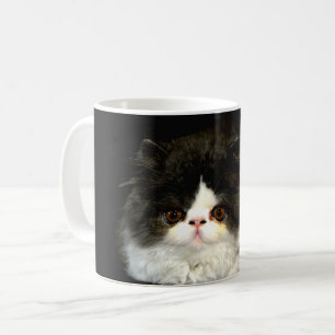 Caneca De Café Gatinho preto e branco