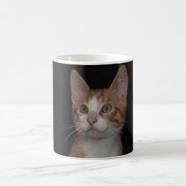 Caneca De Café gatinho vermelho - gato jovem, fundo preto