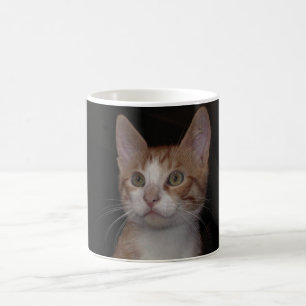 Caneca De Café gatinho vermelho - gato jovem, fundo preto
