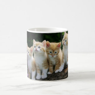 Caneca De Café Gatinhos De Café Cerâmicos