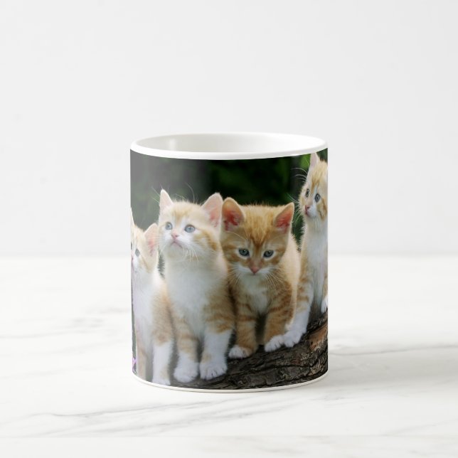 Caneca De Café Gatinhos De Café Cerâmicos (Centro)