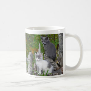 Caneca De Café Gatinhos de Kute