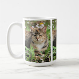 Caneca De Café Gato