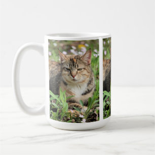 Caneca De Café Gato