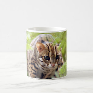 Caneca De Café Gato 004 de Bengal