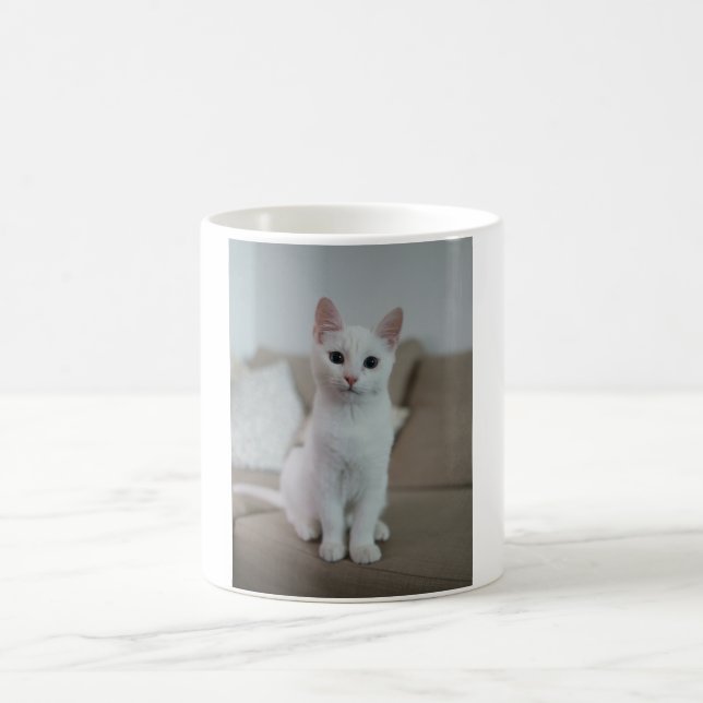Caneca De Café Gato branco | Zazzle_Growth. (Centro)