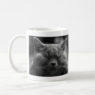 Caneca De Café Gato cinzento Napping