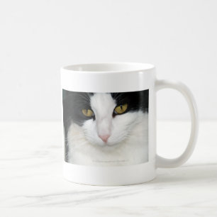 Caneca De Café Gato com olhos dourados