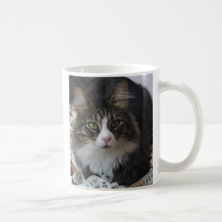 Caneca De Café Gato da boa