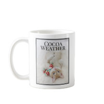 Gato De Cacau, Bonito, Neve, Em Scarf