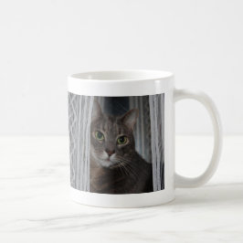 Caneca De Café Gato de Fotografia Mais Bonito Do Gatinho Felino