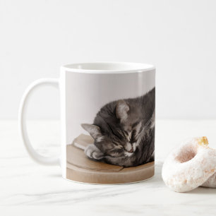 Caneca De Café Gato de gato malhado cinzento que dorme na caixa
