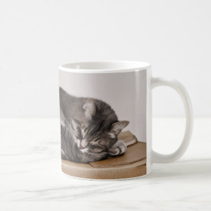 Caneca De Café Gato de gato malhado cinzento que dorme na caixa