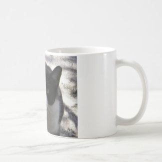 Caneca De Café Gato de Oreo