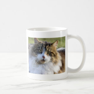 Caneca De Café Gato de racum de Maine