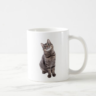 Caneca De Café Gato de Tabby