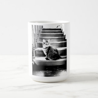 Caneca De Café Gato e escadas