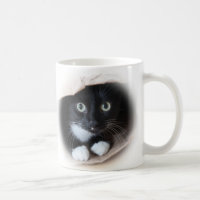 Gato em um saco