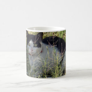 Caneca De Café Gato Negro E Branco No Jardim,
