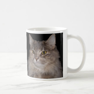Caneca De Café Gato peludo cinzento no copo de café