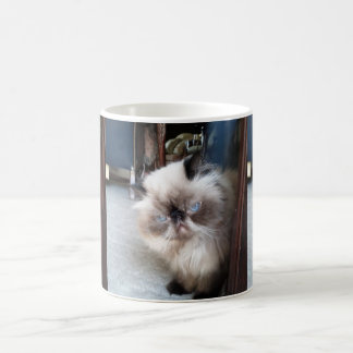 Caneca De Café Gato persa Himalaia adorável