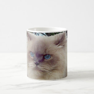 Caneca De Café Gato Persa Himalaio