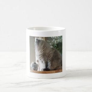 Caneca De Café Gato Persa Himalaio